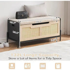 Panca Contenitore Baule Contenitore in Rattan, per Ingresso, Soggiorno e Camera da Letto