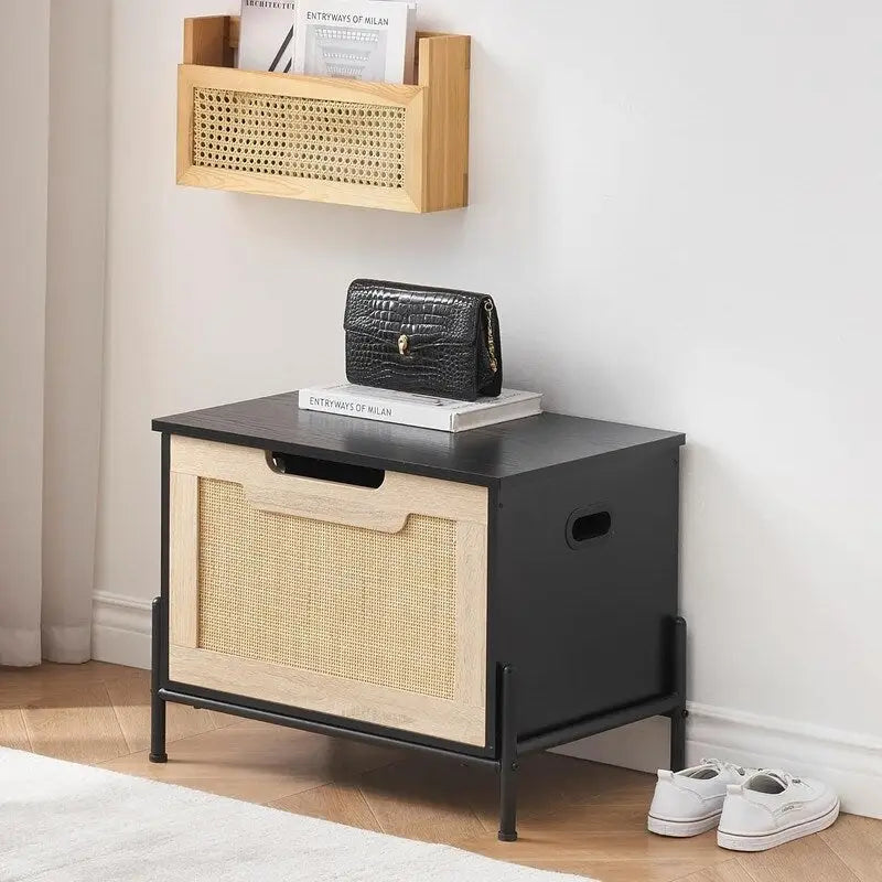 Panca Contenitore Baule Contenitore in Rattan, per Ingresso, Soggiorno e Camera da Letto